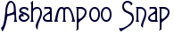Ashampoo Snap – набор инструментов для создания скриншотов и презентаций