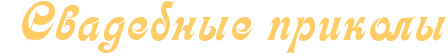 http://www.x-lines.ru/icp/ghW39/ffcc66/0/42/PRsvadebnqePprikolq.png
